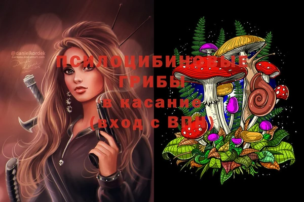spice Балабаново