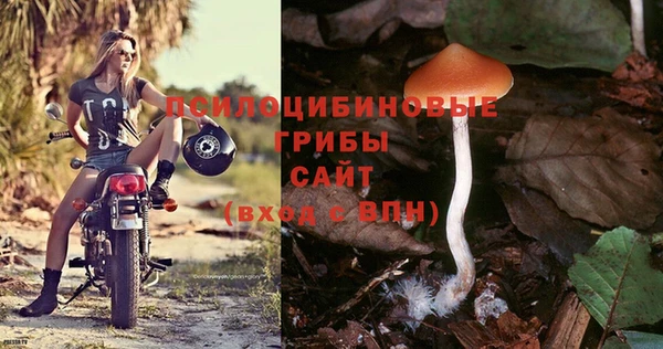 спиды Балахна
