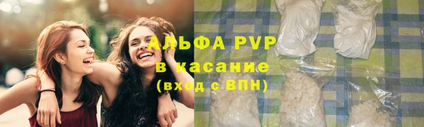 мяу мяу мука Баксан
