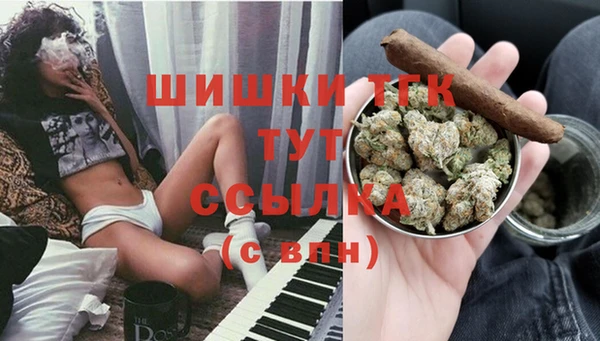 мяу мяу мука Баксан